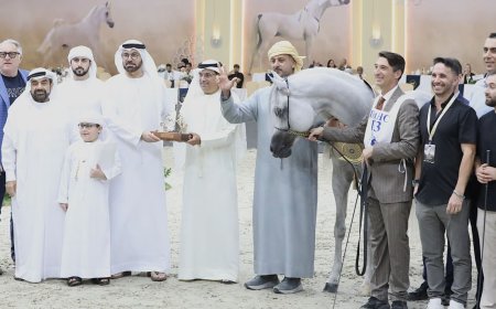 القرقاوي يتوج "دي سيراج" الفائز بالشوط الرئيسي ببطولة دبي للجواد العربي