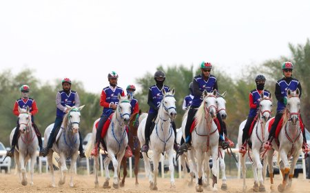 518 من الفرسان يختتمون موسم القدرة في قرية بوذيب العالمية