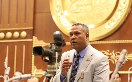 النائب محمد حمزة: توجيهات الرئيس بقوانين الأسرة تعيد الانضباط للعلاقات الأسرية وتحمي الأجيال القادمة