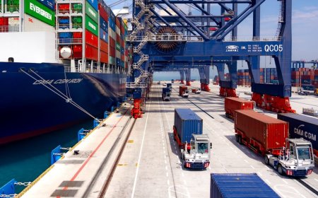 "موانئ أبوظبي" توظف شبكتها اللوجستية المتكاملة لضمان مرونة التجارة ودعم سلسلة الإمداد الإقليمية