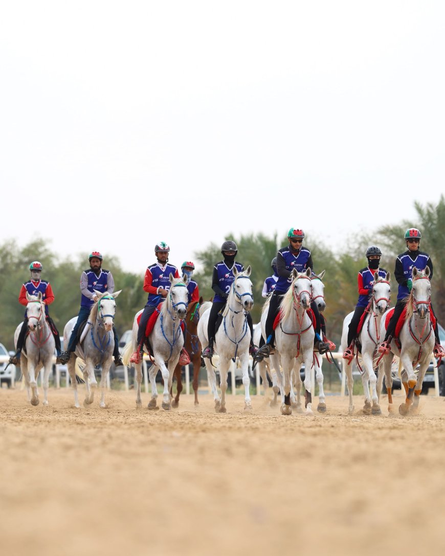 518 من الفرسان يختتمون موسم القدرة في قرية بوذيب العالمية