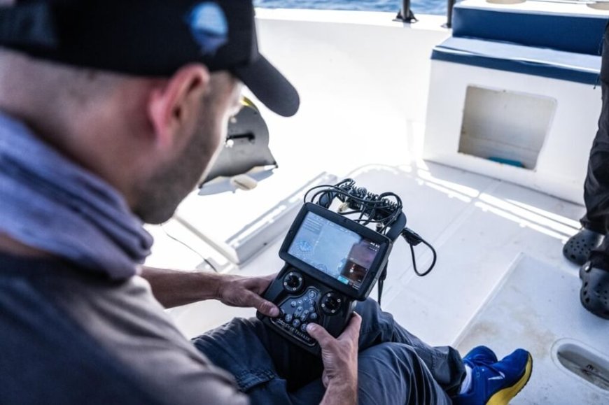 مركز الشارقة لأبحاث علوم البحار يطلق "المرصد البحري" من خورفكان