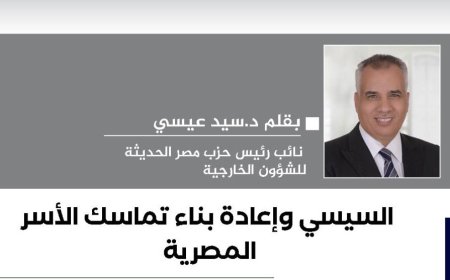 الدكتور سيد عيسى يكتب.. السيسي وإعادة بناء تماسك الأسر المصرية