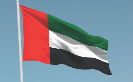 الإمارات تؤسس لجنة وطنية لتوثيق العدوان والجرائم الدولية