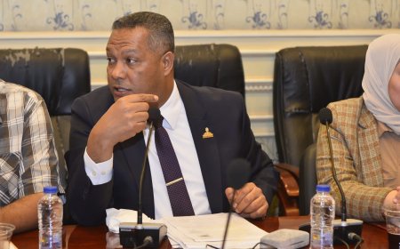 النائب محمد حمزة أمام تشريعية الشيوخ: حان وقت إنهاء أزمة أراضي أبيس والنهضة بعد عقود من المعاناة