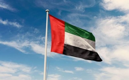الإمارات تدين بشدة الهجوم الإرهابي على مطار العاصمة في النيجر