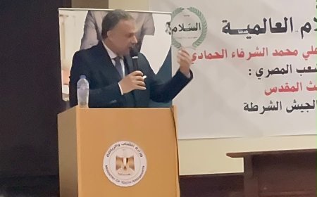 هشام النجار خلال ندوة الوحدة الوطنية صمام الأمان للدولة المصرية:إحباط مخططات التفتيت بين الرؤية القرآنية للشرفاء الحمادي ونضال الكتلة الوطنية الصلبة