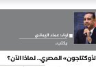 اللواء عماد اليماني يكتب: "الأوكتاجون" المصري.. لماذا الآن؟
