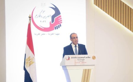 *وزير الخارجية يفتتح النسخة السابعة من مؤتمر المصريين بالخارج بحضور عدد كبير من الوزراء والشخصيات العامة | صور*