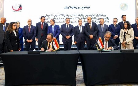 *وزارتي الخارجية والتخطيط والتنمية الاقتصادية" تطلقان خدمة سداد الفواتير للمصريين بالخارج عبر تطبيق "سهل"*
