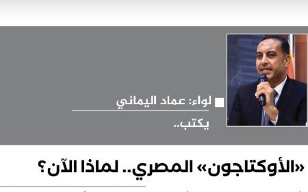 اللواء عماد اليماني يكتب: "الأوكتاجون" المصري.. لماذا الآن؟