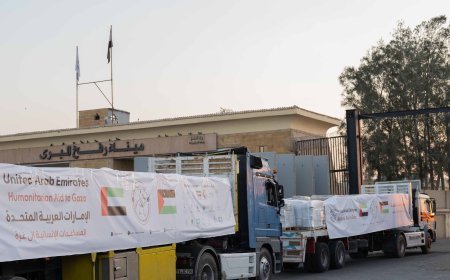 ضمن "الفارس الشهم 3"/دخول 5 قوافل مساعدات إماراتية إلى قطاع غزة تحمل 683 طناً من المساعدات