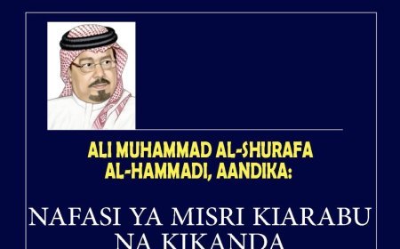 Al-Shurafaa Al-Hammadi: Nafasi ya Misri Kiarabu na Kikanda.‎