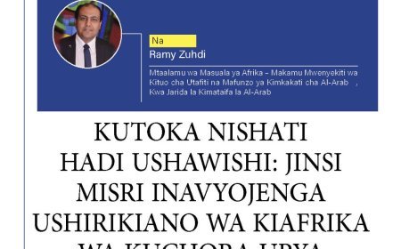 Kutoka Nishati hadi Ushawishi: Jinsi Misri Inavyojenga Ushirikiano wa ‏Kiafrika wa Kuchora Upya Ramani ya Baadaye