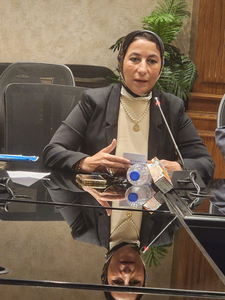 *نشوى سلامة تدعو الإعلام لإحياء بطولات أكتوبر وحرب الاستنزاف بأفلام تسجيلية*